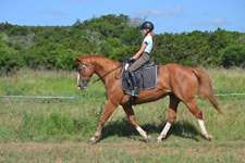 USA-Texas-Texas Equestrian Clinic